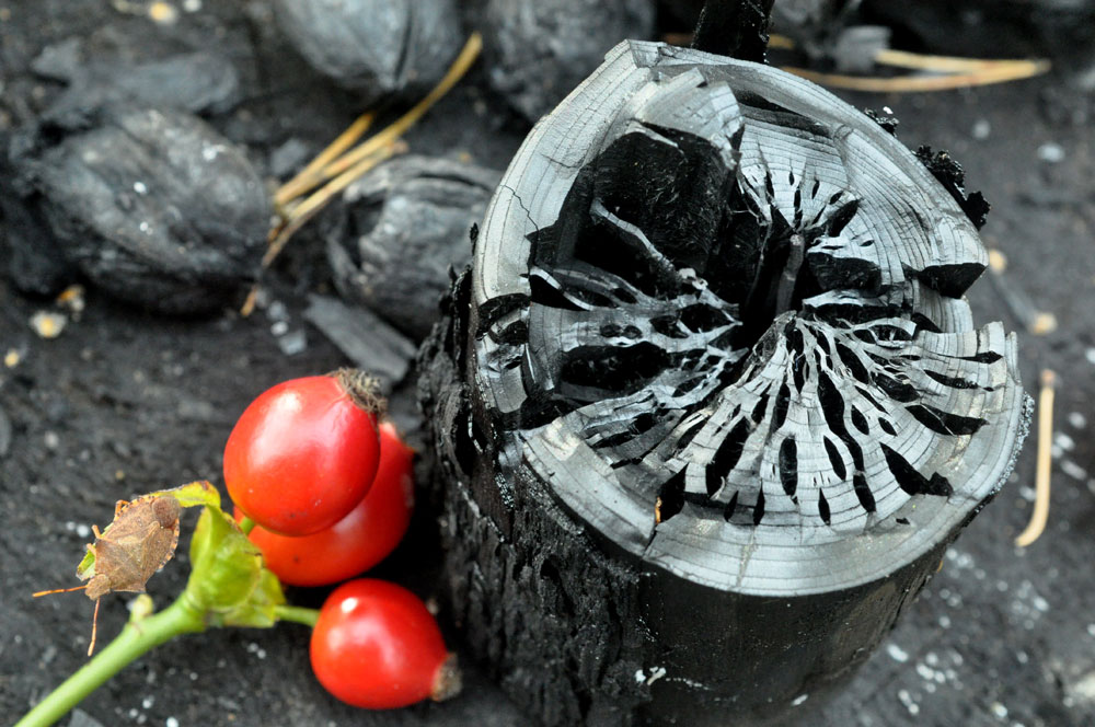 Biochar ZEGG