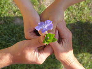 thumb Formación Geraldea 16 27
