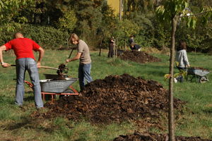 Leaf-mulch