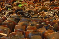 Gaia-Village-25.jpg