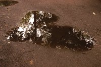 Schoenes-4.jpg